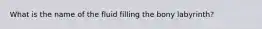 What is the name of the fluid filling the bony labyrinth?