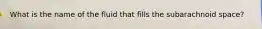 What is the name of the fluid that fills the subarachnoid space?