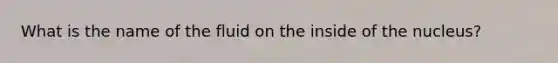 What is the name of the fluid on the inside of the nucleus?