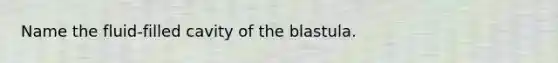 Name the fluid-filled cavity of the blastula.