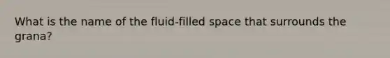 What is the name of the fluid-filled space that surrounds the grana?