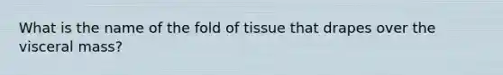 What is the name of the fold of tissue that drapes over the visceral mass?