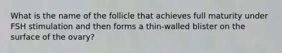 What is the name of the follicle that achieves full maturity under FSH stimulation and then forms a thin-walled blister on the surface of the ovary?