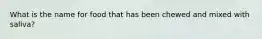What is the name for food that has been chewed and mixed with saliva?