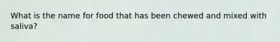What is the name for food that has been chewed and mixed with saliva?