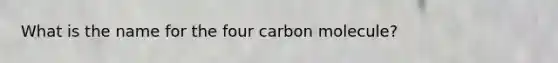 What is the name for the four carbon molecule?