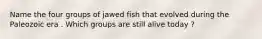 Name the four groups of jawed fish that evolved during the Paleozoic era . Which groups are still alive today ?