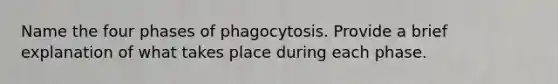 Name the four phases of phagocytosis. Provide a brief explanation of what takes place during each phase.