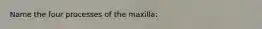 Name the four processes of the maxilla: