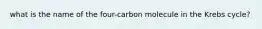 what is the name of the four-carbon molecule in the Krebs cycle?