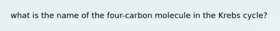 what is the name of the four-carbon molecule in the Krebs cycle?