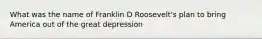 What was the name of Franklin D Roosevelt's plan to bring America out of the great depression