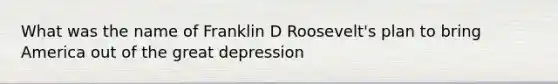 What was the name of Franklin D Roosevelt's plan to bring America out of the great depression