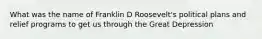 What was the name of Franklin D Roosevelt's political plans and relief programs to get us through the Great Depression