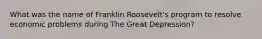 What was the name of Franklin Roosevelt's program to resolve economic problems during The Great Depression?