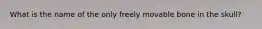 What is the name of the only freely movable bone in the skull?