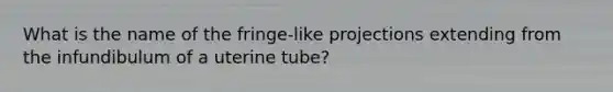 What is the name of the fringe-like projections extending from the infundibulum of a uterine tube?