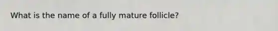 What is the name of a fully mature follicle?