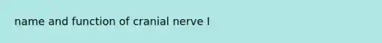 name and function of cranial nerve I