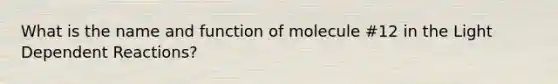 What is the name and function of molecule #12 in the Light Dependent Reactions?