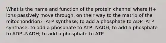 What is the name and function of the protein channel where H+ ions passively move through, on their way to the matrix of the mitochondrion? -ATP synthase; to add a phosphate to ADP -ATP synthase; to add a phosphate to ATP -NADH; to add a phosphate to ADP -NADH; to add a phosphate to ATP