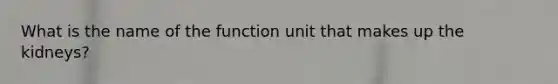 What is the name of the function unit that makes up the kidneys?