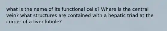 what is the name of its functional cells? Where is the central vein? what structures are contained with a hepatic triad at the corner of a liver lobule?