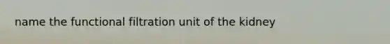 name the functional filtration unit of the kidney