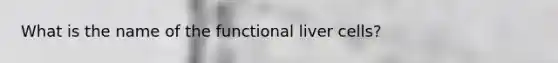What is the name of the functional liver cells?