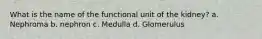 What is the name of the functional unit of the kidney? a. Nephroma b. nephron c. Medulla d. Glomerulus
