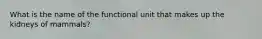 What is the name of the functional unit that makes up the kidneys of mammals?