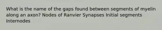 What is the name of the gaps found between segments of myelin along an axon? Nodes of Ranvier Synapses Initial segments Internodes