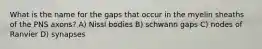 What is the name for the gaps that occur in the myelin sheaths of the PNS axons? A) Nissl bodies B) schwann gaps C) nodes of Ranvier D) synapses