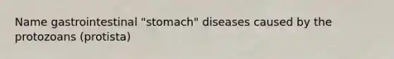 Name gastrointestinal "stomach" diseases caused by the protozoans (protista)