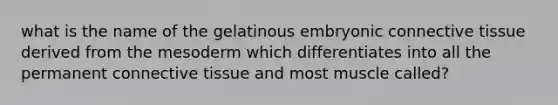 what is the name of the gelatinous embryonic connective tissue derived from the mesoderm which differentiates into all the permanent connective tissue and most muscle called?