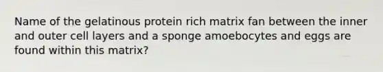 Name of the gelatinous protein rich matrix fan between the inner and outer cell layers and a sponge amoebocytes and eggs are found within this matrix?