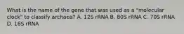 What is the name of the gene that was used as a "molecular clock" to classify archaea? A. 12S rRNA B. 80S rRNA C. 70S rRNA D. 16S rRNA