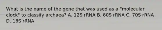 What is the name of the gene that was used as a "molecular clock" to classify archaea? A. 12S rRNA B. 80S rRNA C. 70S rRNA D. 16S rRNA