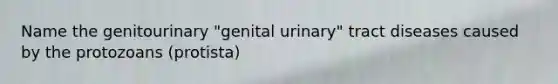 Name the genitourinary "genital urinary" tract diseases caused by the protozoans (protista)