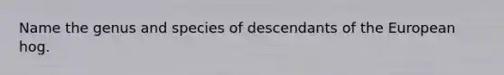 Name the genus and species of descendants of the European hog.