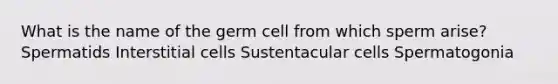 What is the name of the germ cell from which sperm arise? Spermatids Interstitial cells Sustentacular cells Spermatogonia