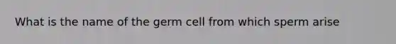 What is the name of the germ cell from which sperm arise