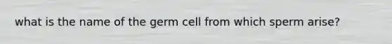 what is the name of the germ cell from which sperm arise?