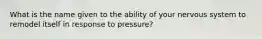 What is the name given to the ability of your nervous system to remodel itself in response to pressure?