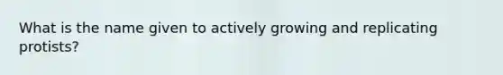 What is the name given to actively growing and replicating protists?