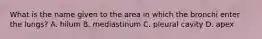 What is the name given to the area in which the bronchi enter the lungs? A. hilum B. mediastinum C. pleural cavity D. apex