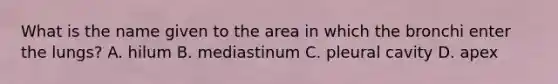 What is the name given to the area in which the bronchi enter the lungs? A. hilum B. mediastinum C. pleural cavity D. apex