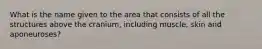 What is the name given to the area that consists of all the structures above the cranium, including muscle, skin and aponeuroses?
