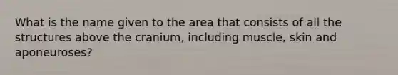 What is the name given to the area that consists of all the structures above the cranium, including muscle, skin and aponeuroses?