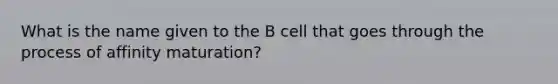 What is the name given to the B cell that goes through the process of affinity maturation?